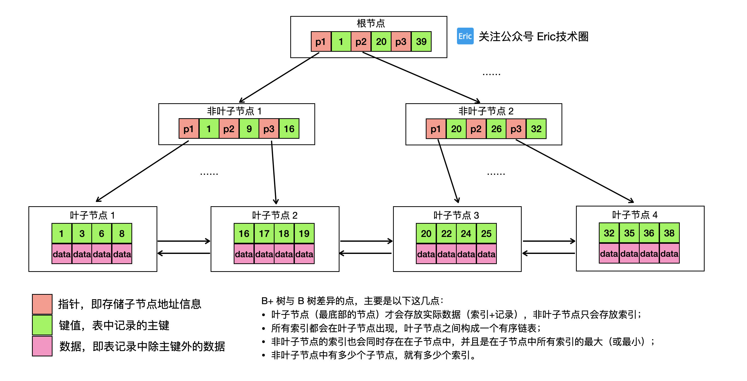 B+树索引